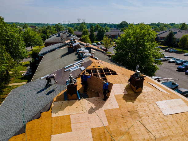 Best Storm Damage Roof Repair  in Winfield, WV