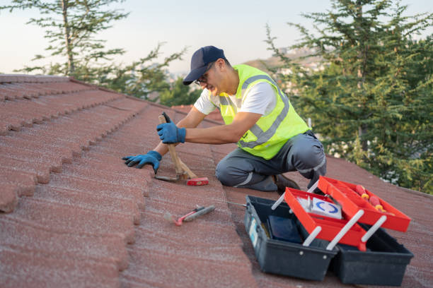 Best Roof Repair Specialists  in Winfield, WV