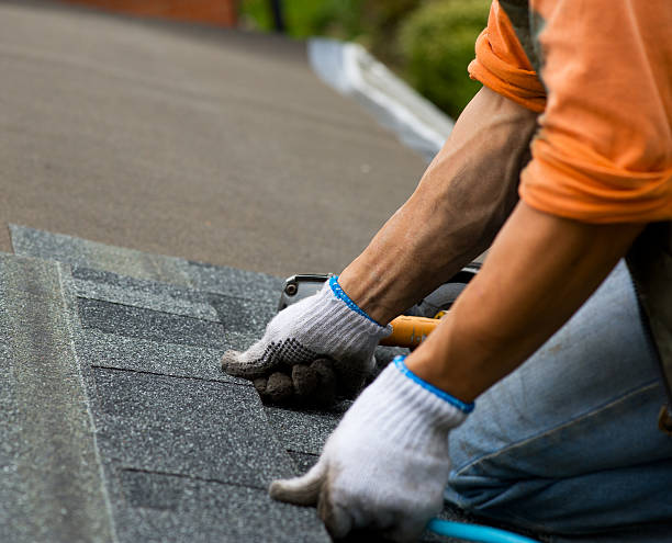 Best Roof Replacement Cost  in Winfield, WV