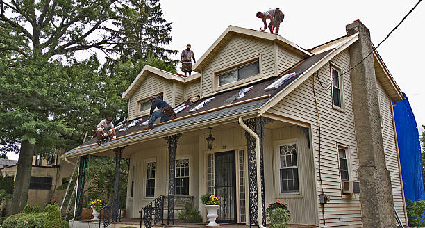 Best Roof Maintenance Services  in Winfield, WV